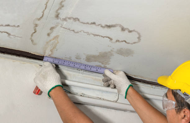 Reliable Flood Cleanup contractor in Mayville, MI by Water Damage Irwin